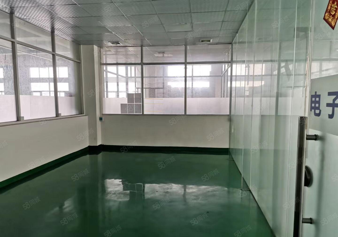 寮步新空出楼上1500平全新地平漆精装修办公室厂房出租