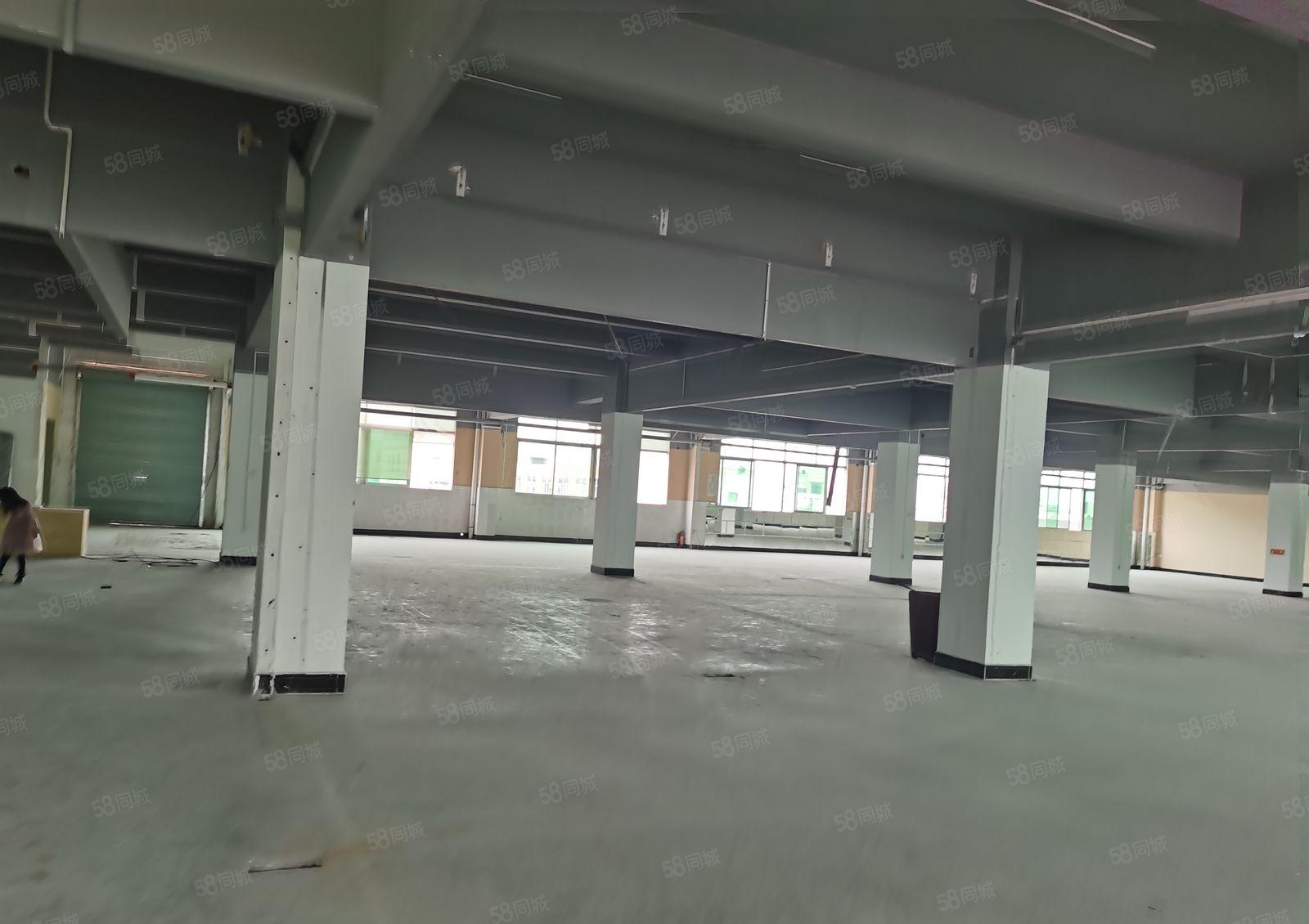 低价厂房出租！寮步富竹山厂房6200平，周围环境干净整洁