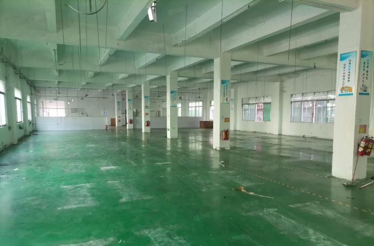 寮步原房东独门独院标准厂房4000平方带办公室装修低价出租