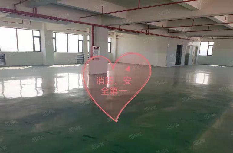 寮步竹园独栋厂房出租四楼900平，厂房可做工业商业，低价出租