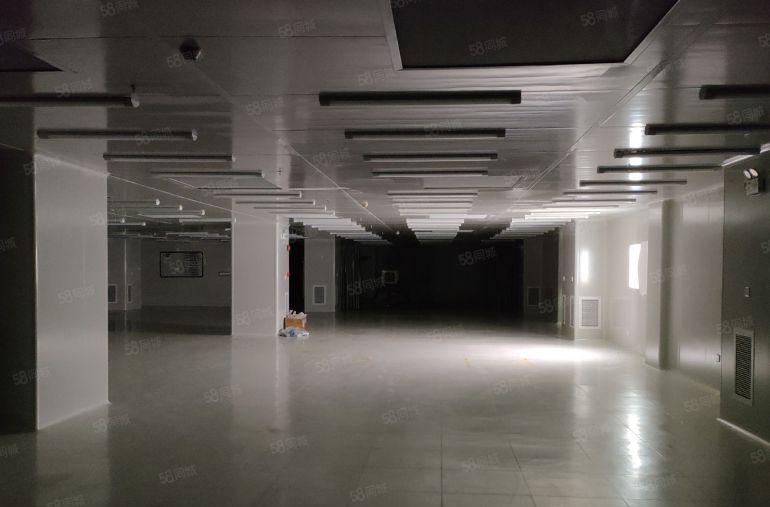 科技园2楼整层1200平无尘车间小面积厂房出租，不需要转让费