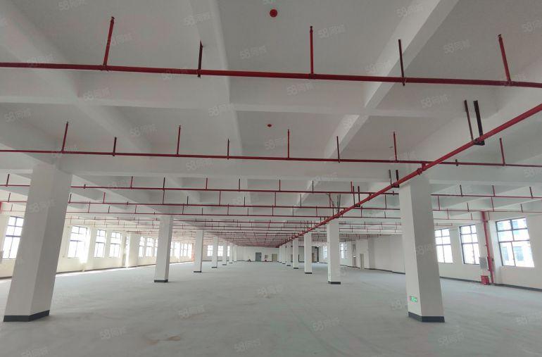 寮步原房东全新25300平方厂房出租，单层2530平方起分租