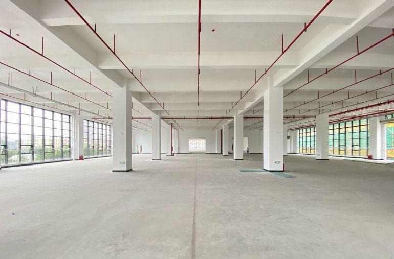 13元起租原房东厂房出租红本楼上承重2吨可办环评周边无居民