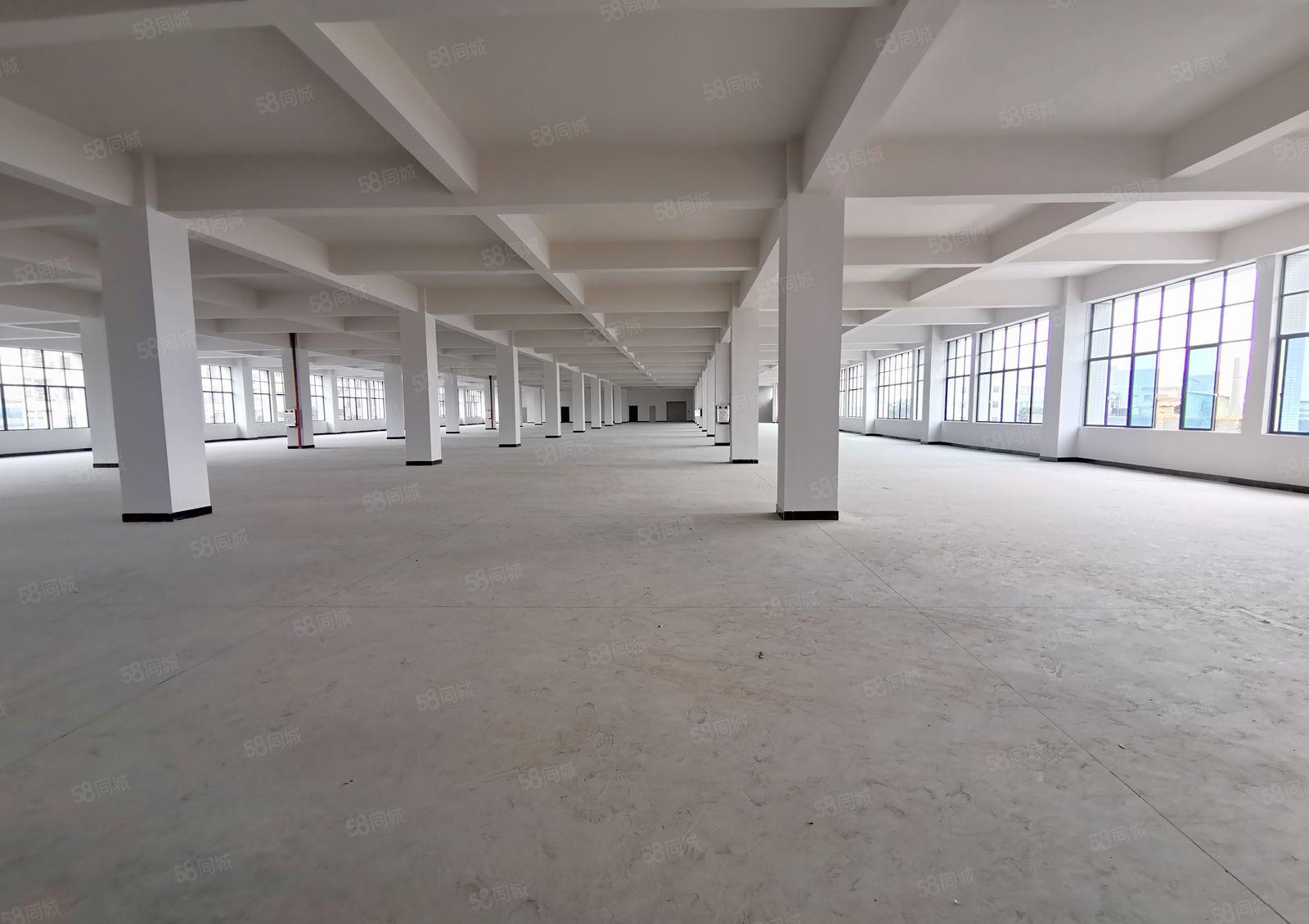 全新厂房出租三楼面积约3200平方米