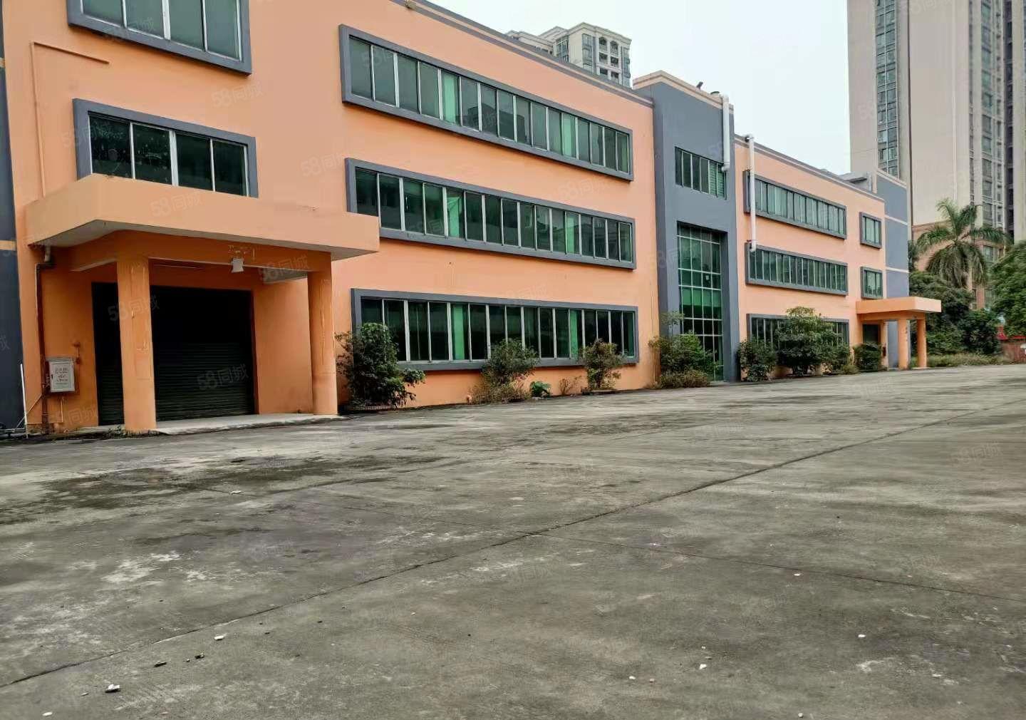 实拍寮步西溪新推出独栋厂房一楼出租1300平带地坪漆空地超大