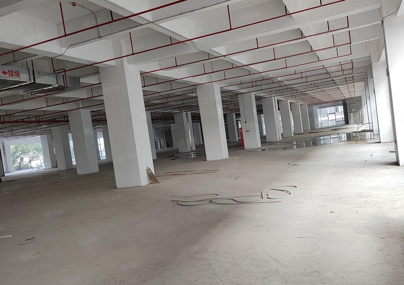 寮步靠近松山湖全新重工业园区78500平玻璃外墙大小可分租