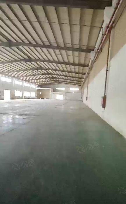 西溪10米高6500平砖墙到顶单一层出租