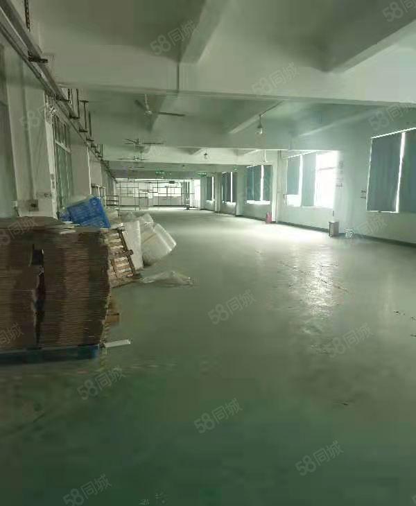 花园式独院厂房10000平方，宿舍20000，办公1800平