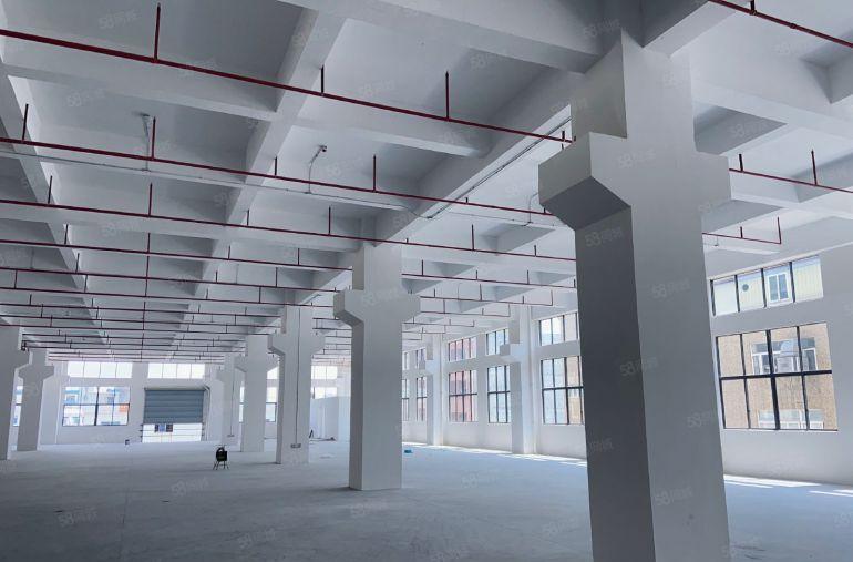 茶山寮步交界独门独院房东直租，全新厂房长度过百