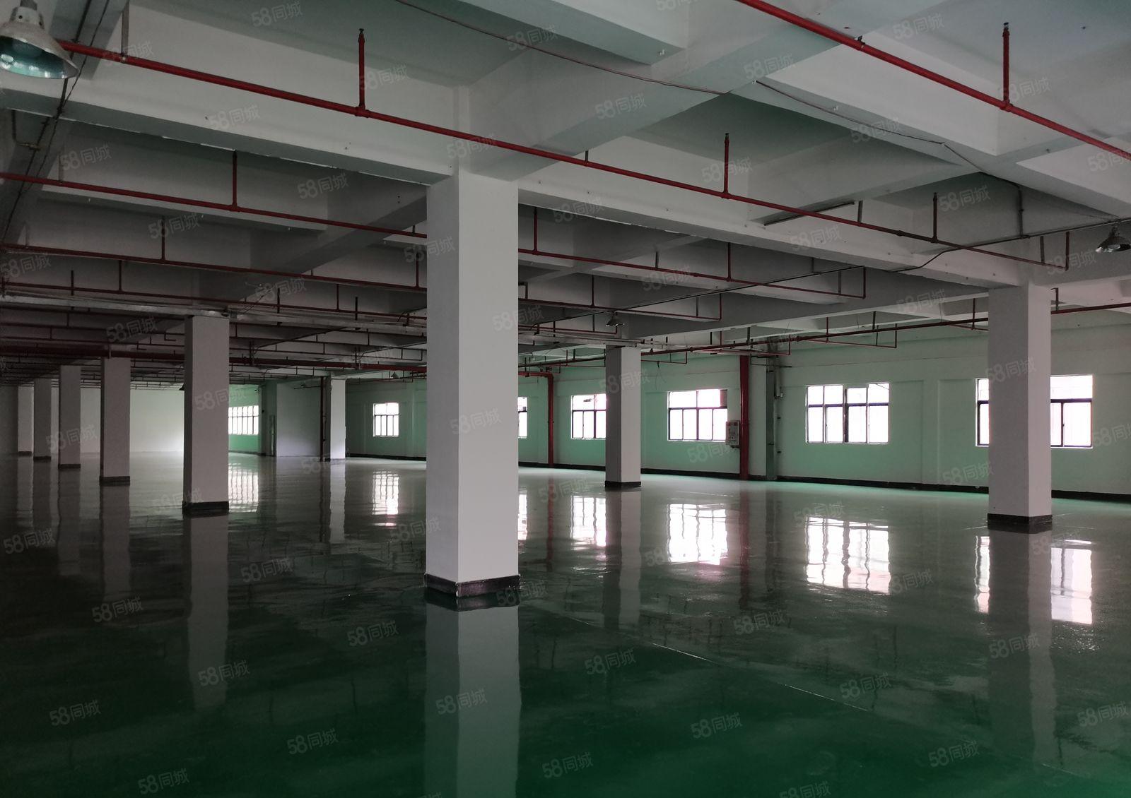 寮步石龙坑靠松山湖一楼900平方出租带办公室