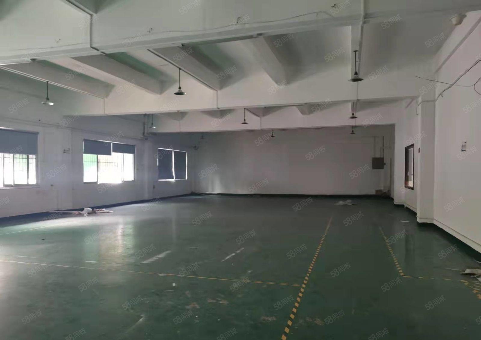 实拍寮步西溪新推出独栋厂房一楼出租1300平带地坪漆空地超大