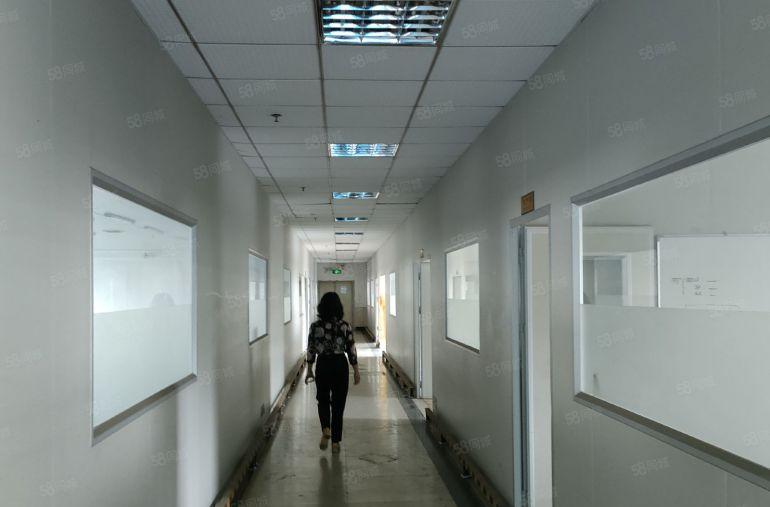 寮步现成无尘车间原房东独院14700平米花园式厂房低价直租