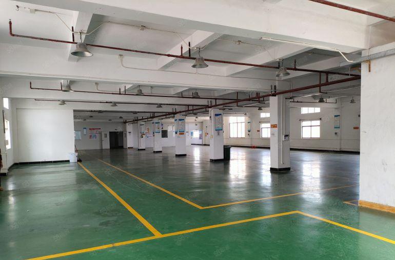 寮步(原房东精装）花园式1200平2楼整层厂房出租，拎包入驻