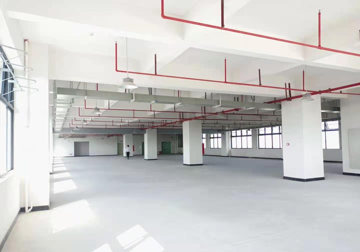 寮步新出1000平方喷油 电泳 喷漆 酸洗 蚀刻 环评厂房