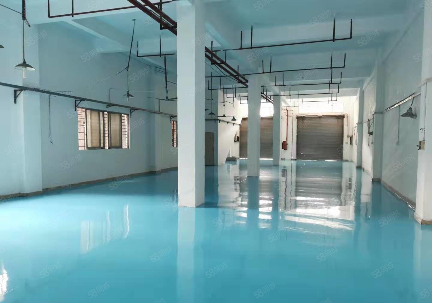 小独院厂房总面积2100方，可进大货柜