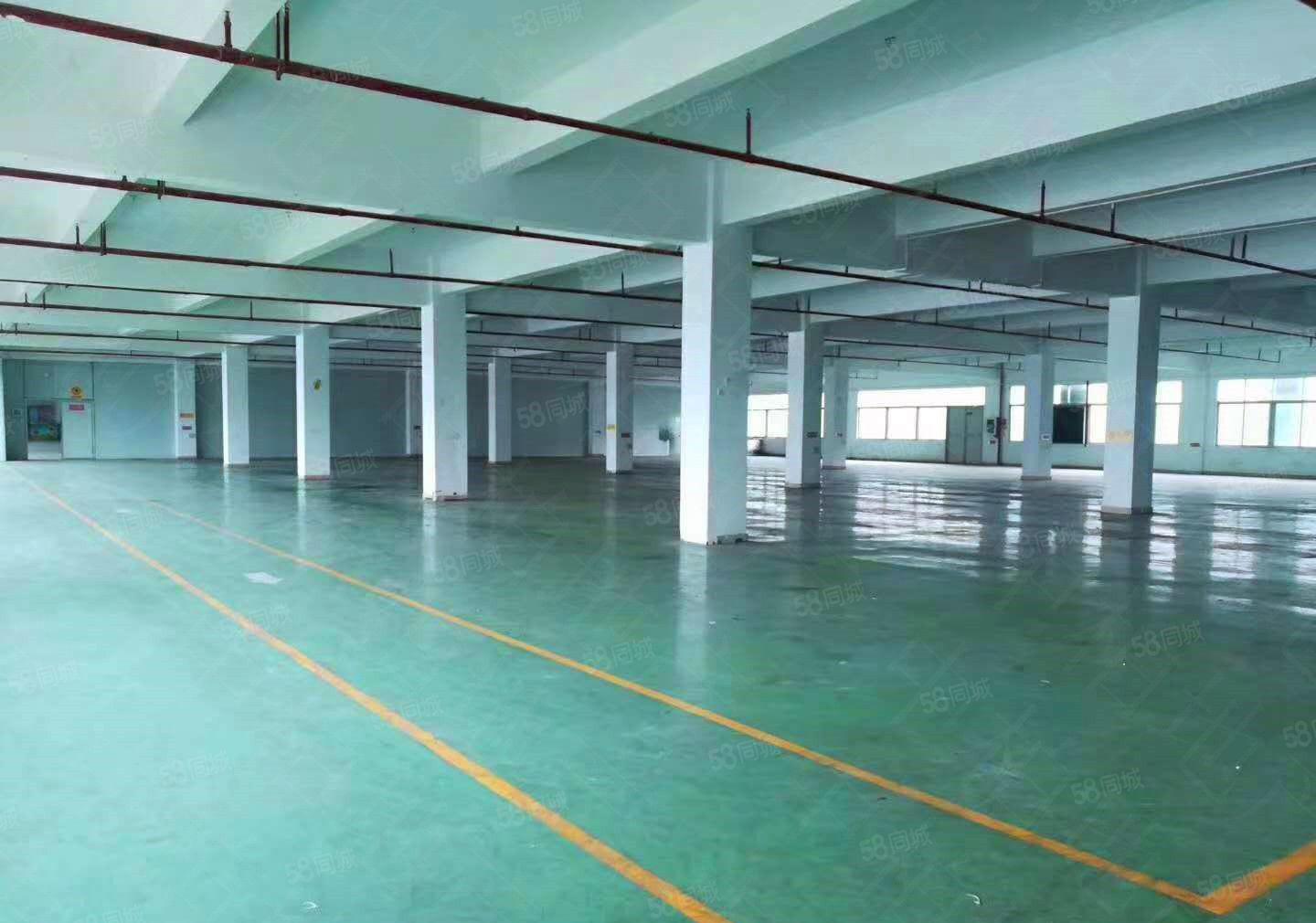 寮步厂房出租石龙坑4300平方厂房招租带地喷漆12元全包！