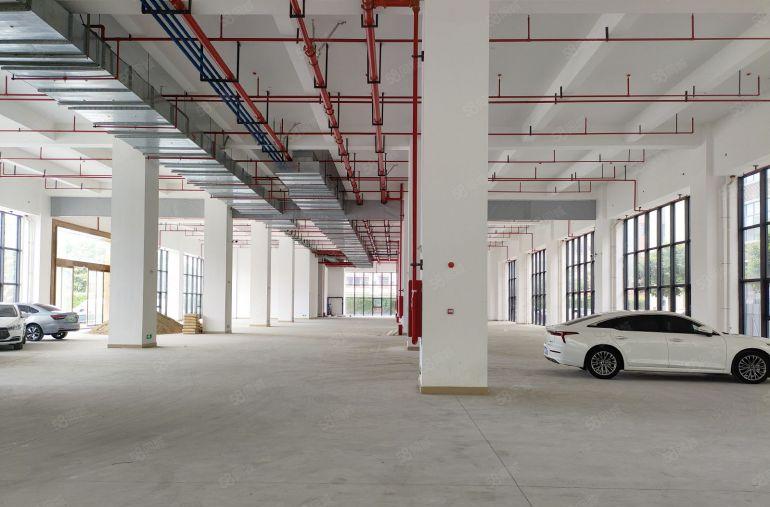 寮步镇新出原房东独门独院红本精装修厂房可分租低价出租