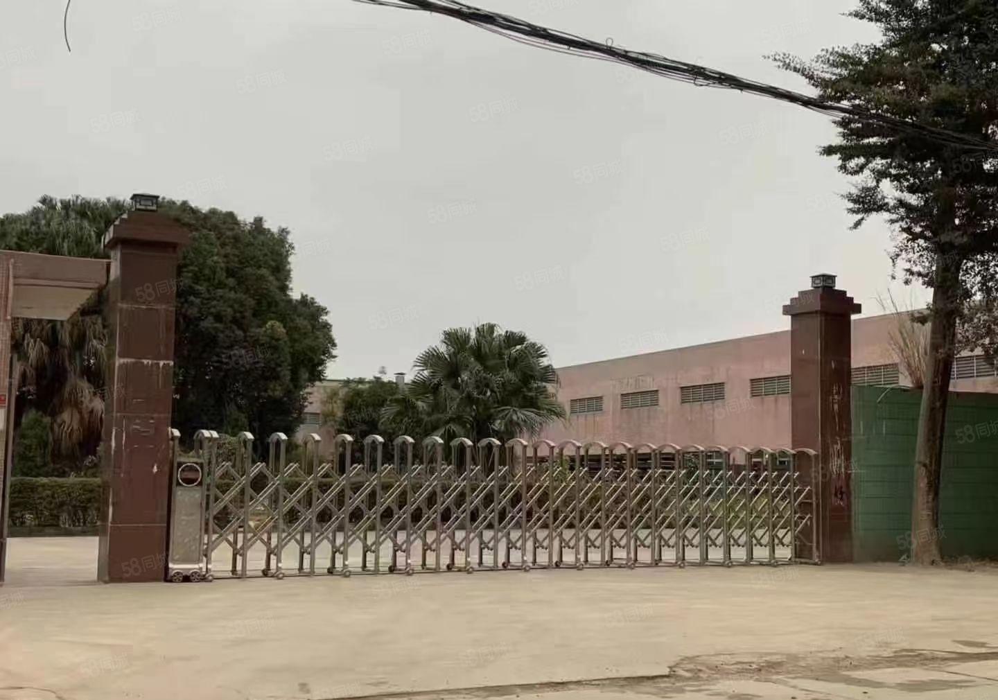 东部快速路周边镇区单一层钢结构独院厂房出租分租或整租