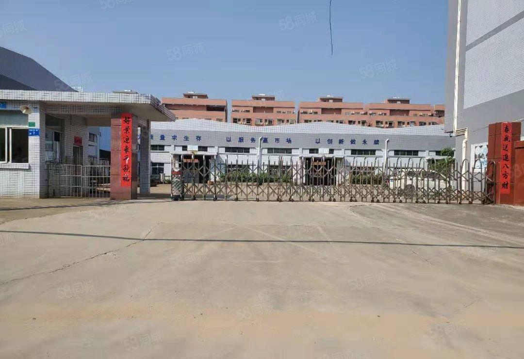 寮步镇新出独院厂房单一层12000平方独院大小可分