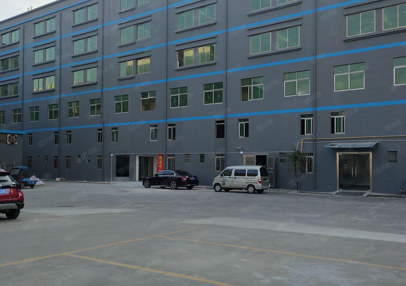 寮步 镇中心 办公室 出租300平方，适合培训办公贸易