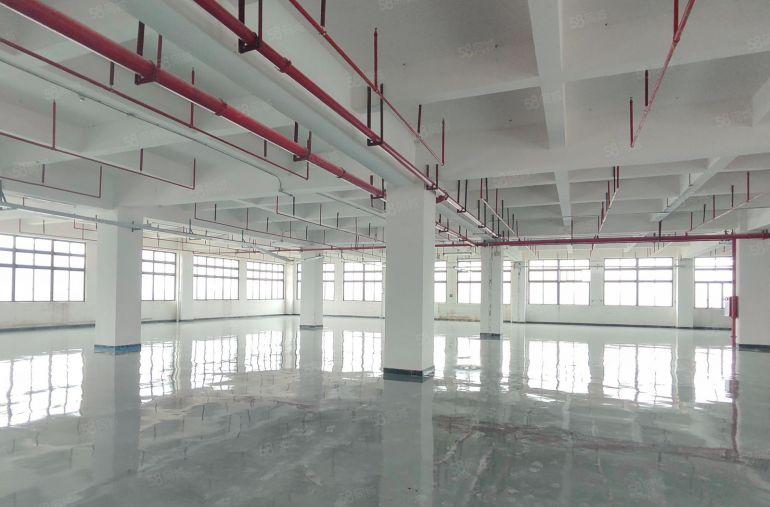 寮步全新园区楼上1950平方厂房出租，现成豪华装修，水电齐全