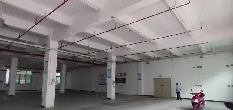 寮步华南城独门独院11300平方厂房出租一楼高度6米喷淋消防