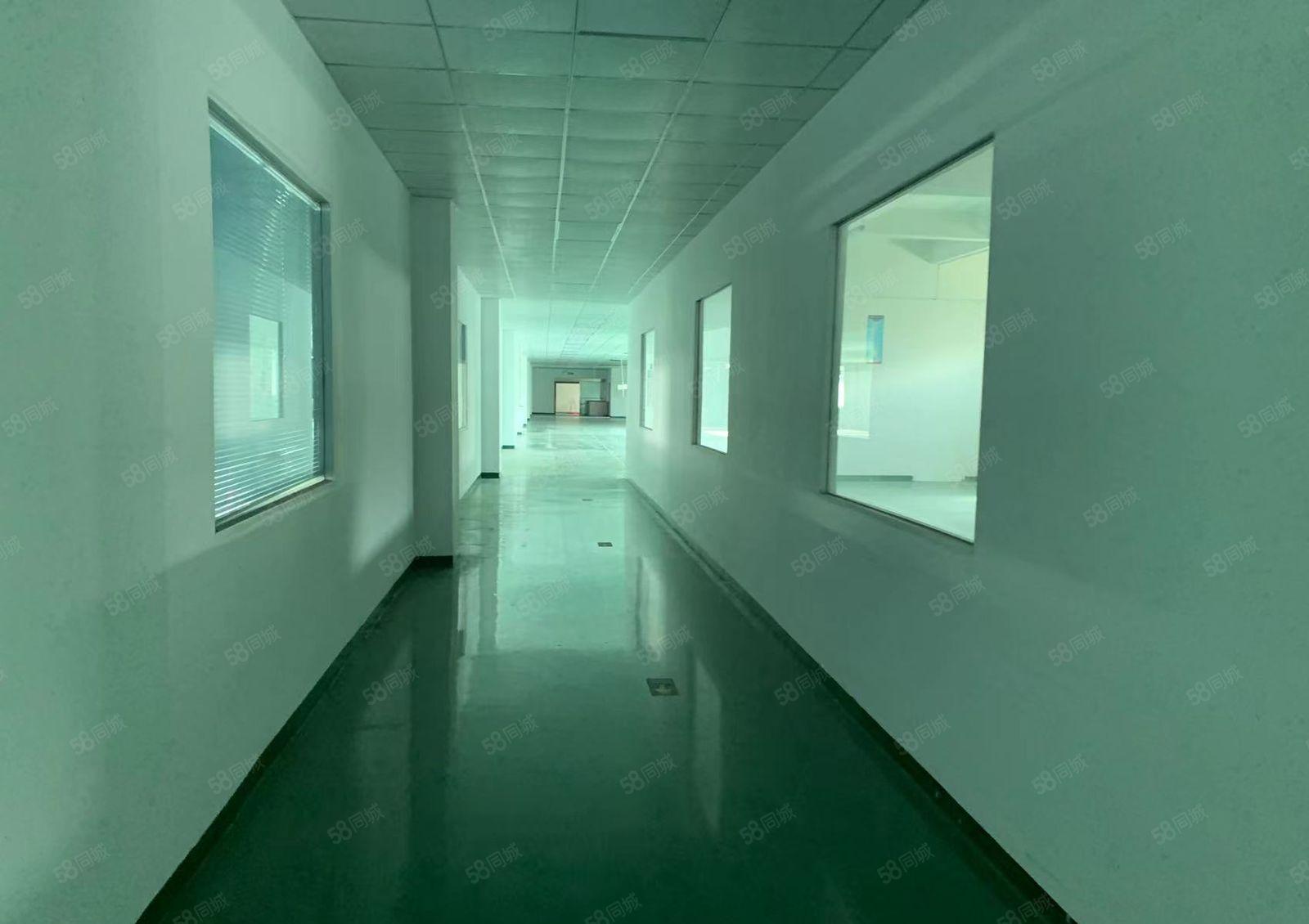 寮步西溪新出一手房东花园式标准厂房出租2万平米双证齐全配套齐