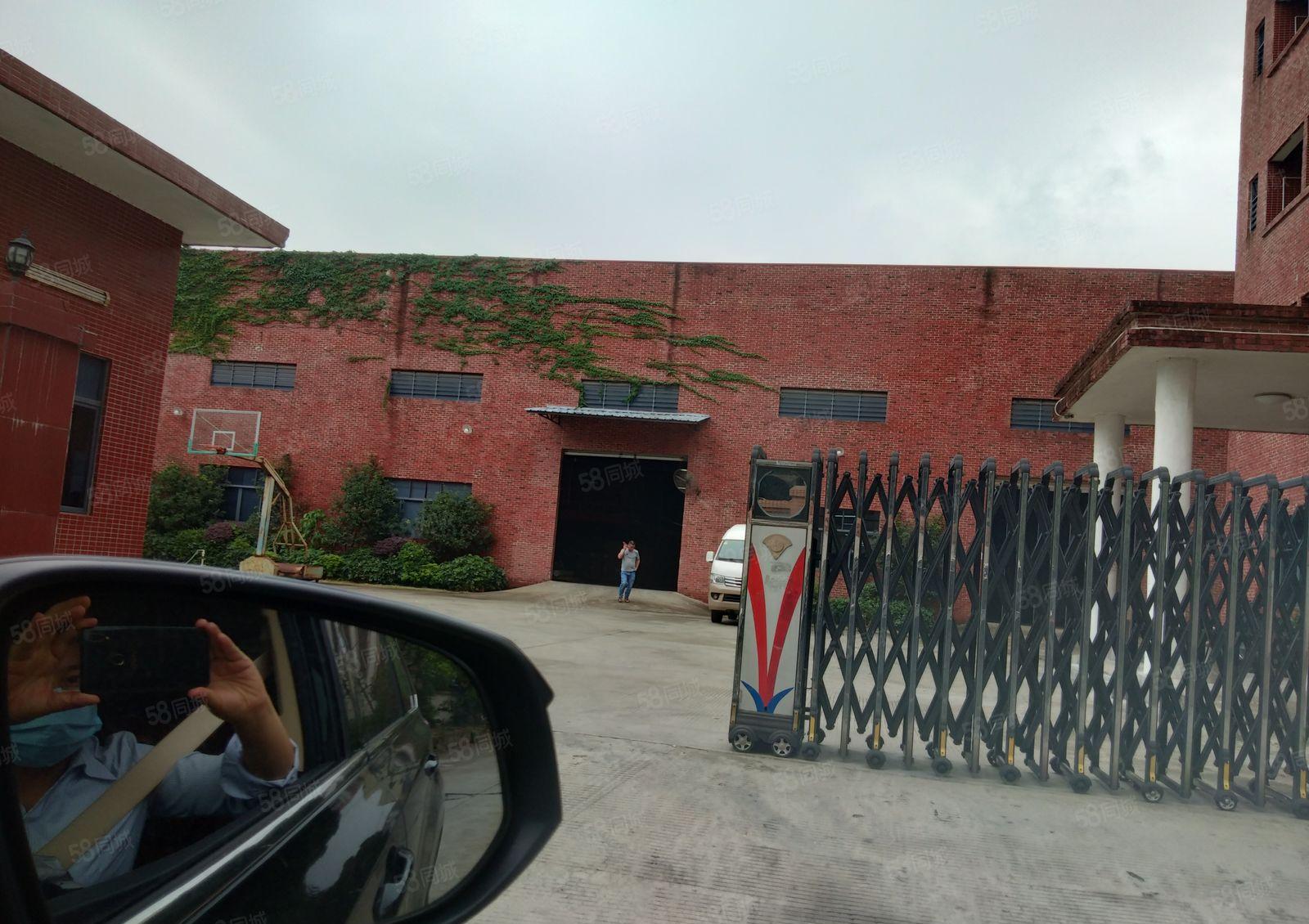 寮步镇华南工业城5000独门独院钢结构厂房招租