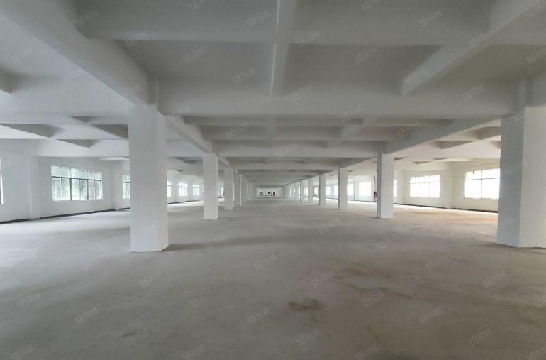 寮步（原房东）66000平米红本独院厂房整体出租，4层花园式