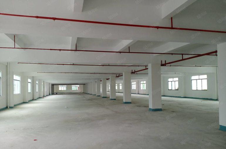 寮步上屯工业区独门独院靓盘