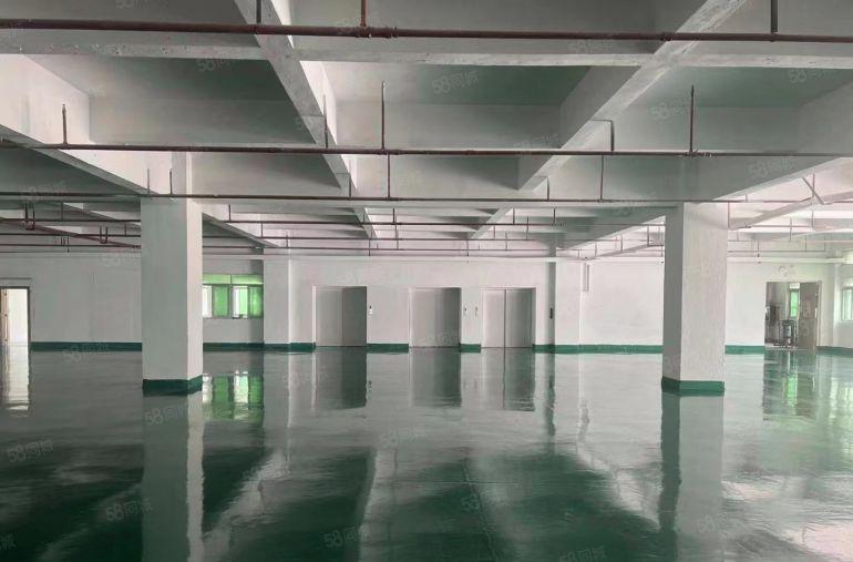 寮步 泉塘 独院 厂房出租 共5000平方，形象好