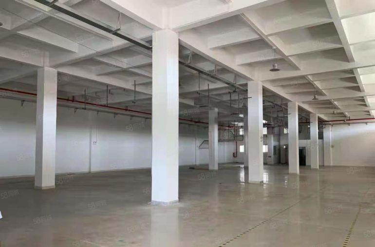 岭厦 一楼 700平方 现成水电办公装修 10元每平米