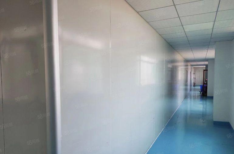 寮步 向西 路口 小厂房 700平方,7元急租！好招工