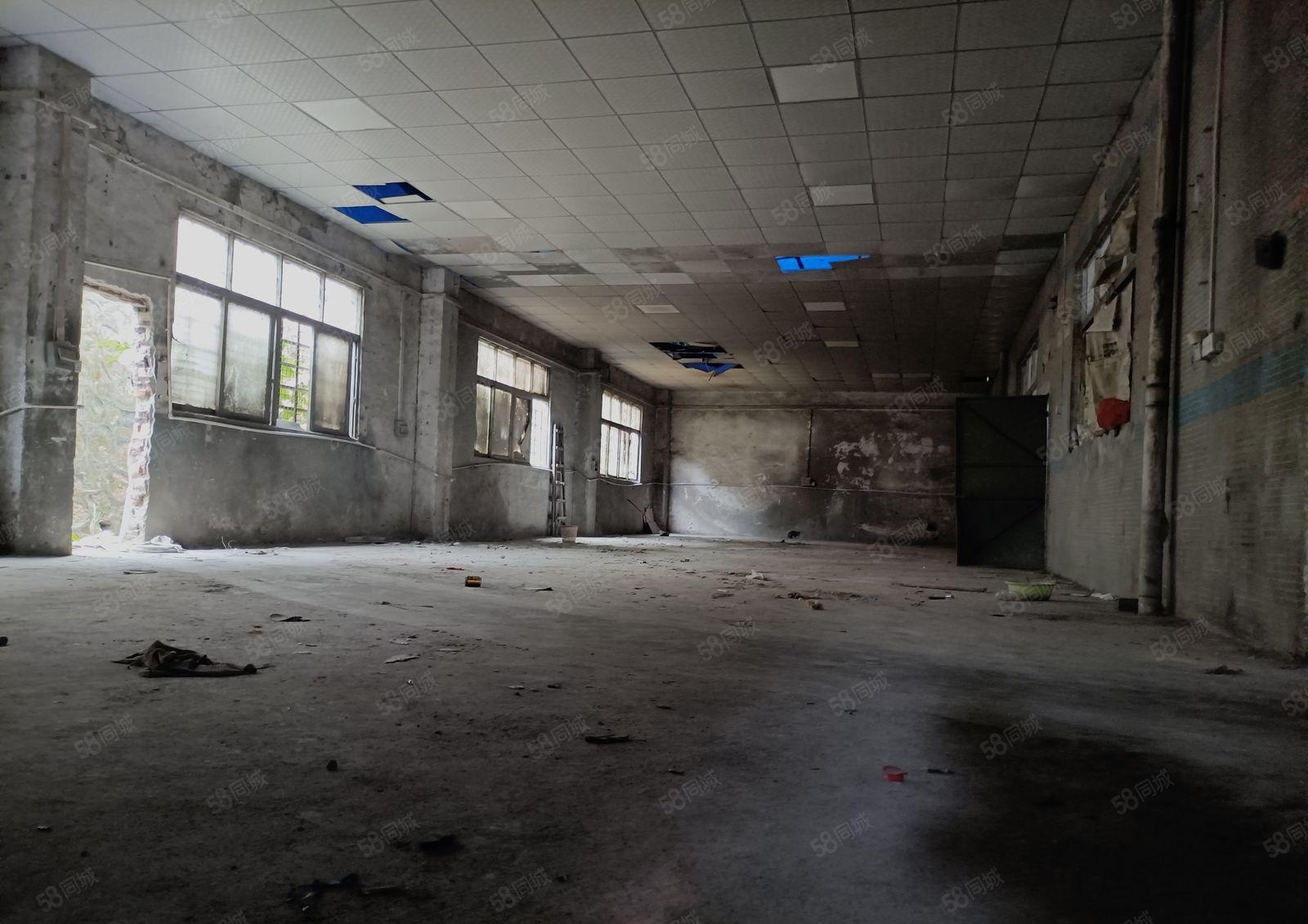 寮步横坑工业区单一层钢结构厂房出租2300平，