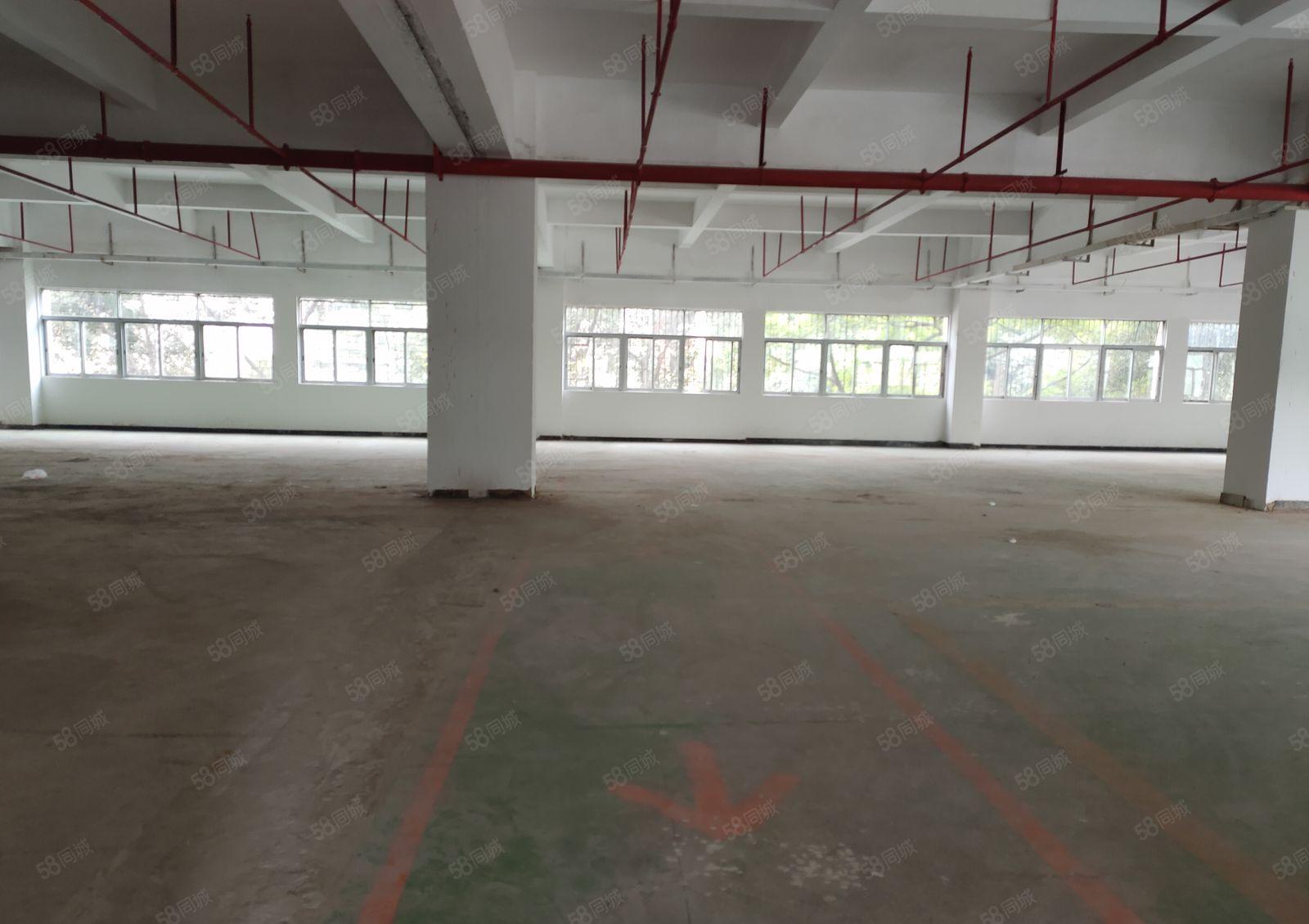 寮步 上底 独院厂房 分租整层2000平方.现成装修