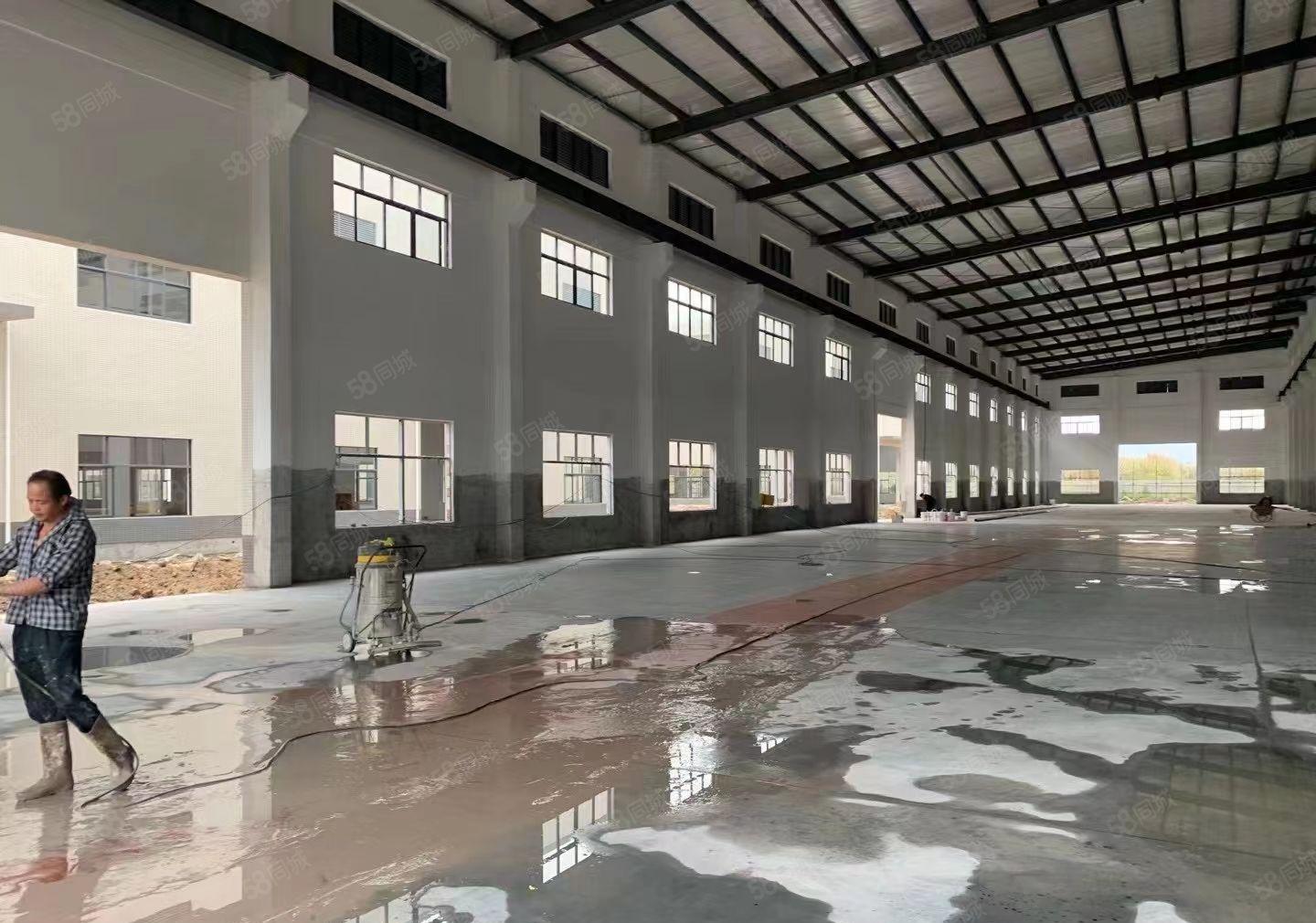 寮步9米高钢构3000平方出租，可做仓库物流 可分租