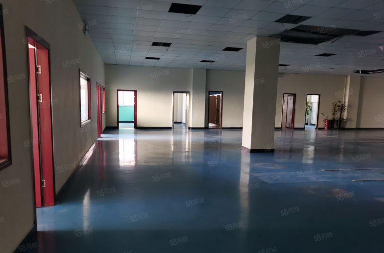 寮步原房东独院厂房出租5000平米形象好租金14元每平米