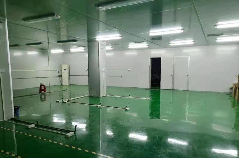 寮步岭厦原房东出租一楼1000平（带无尘车间）