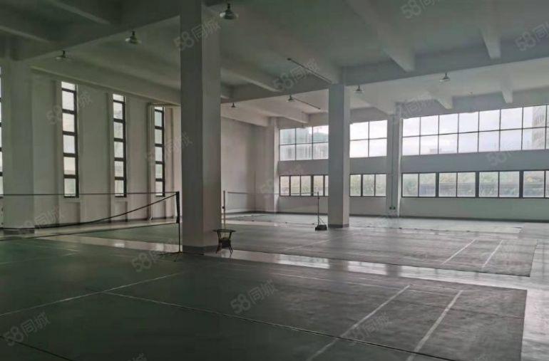 原房东厂房仓库出租 空地大 现成环评 双证齐全可分租