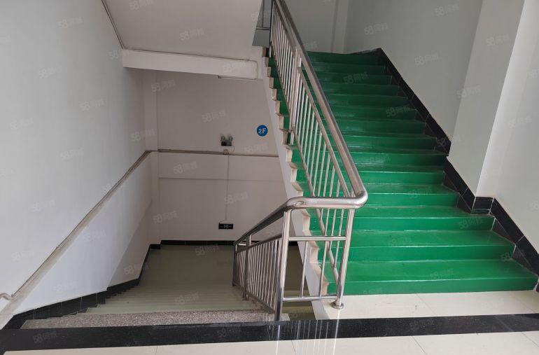 精装修独院厂房出租三层5100平方形象好空地大