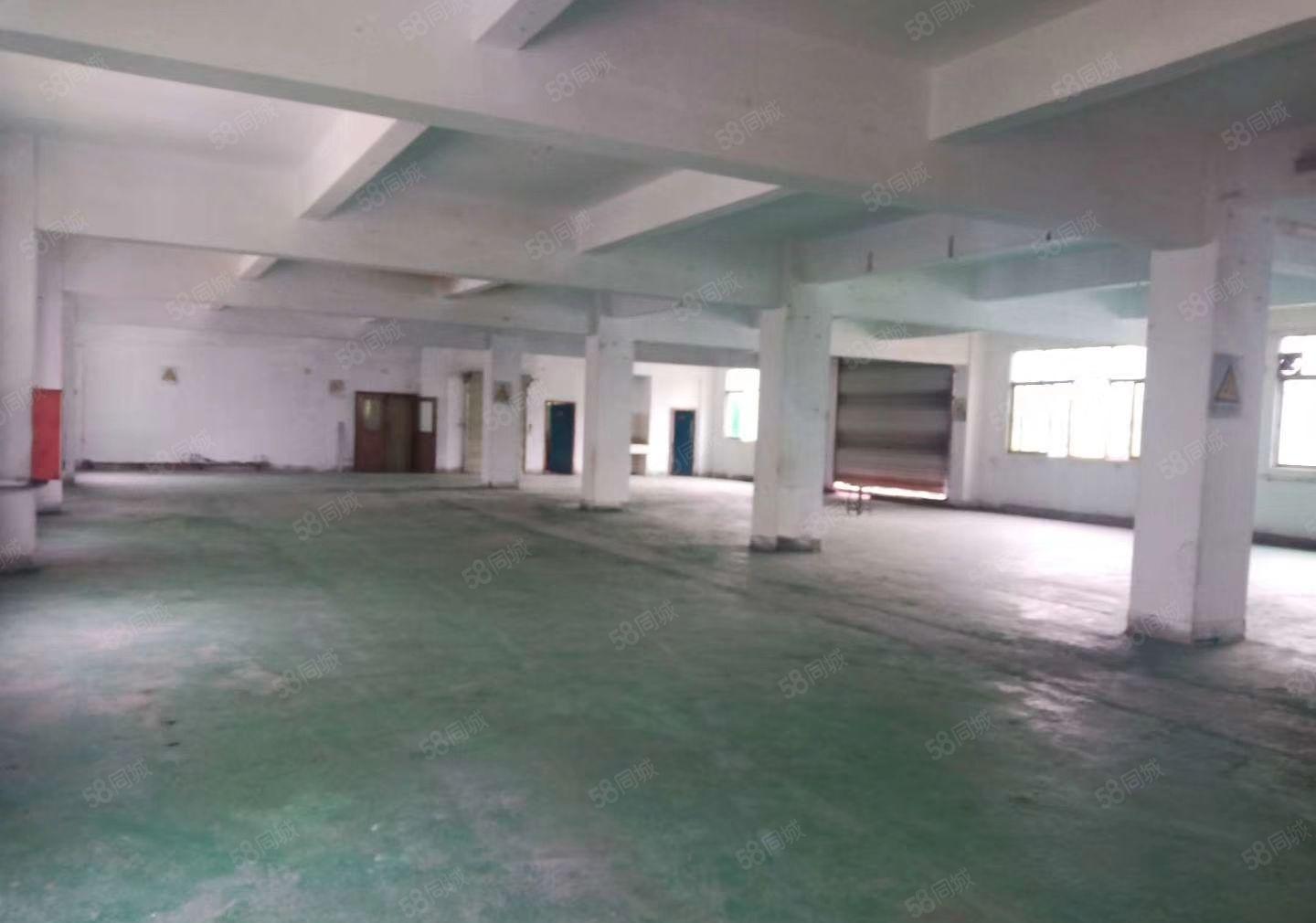 寮步镇莞樟路边楼上新出600平出租，可做加工，仓库