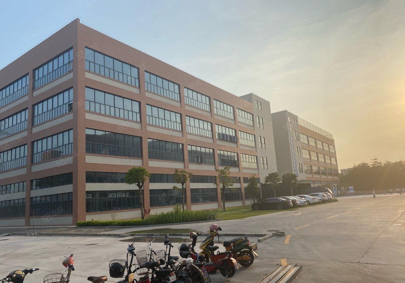 塘厦清溪三房东3000平整层带前台办公室形象好易招工