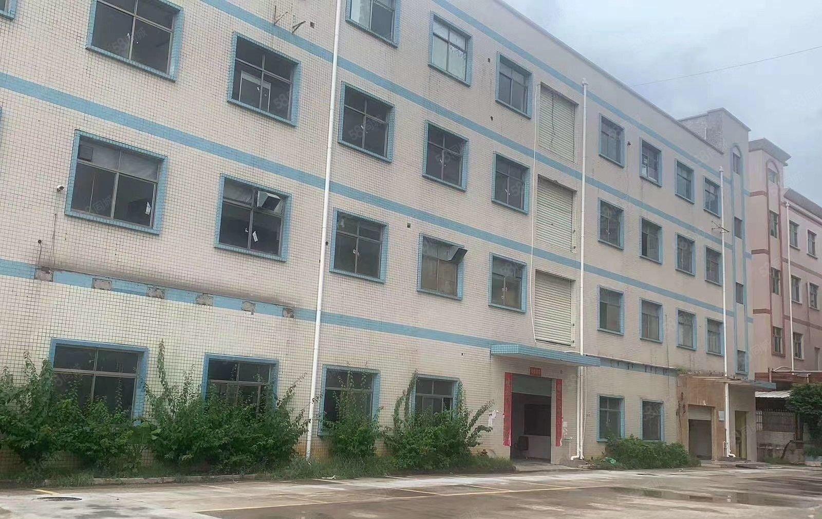 塘厦桥陇新空出1000平方厂房出租，配电大可进大车大小可分租