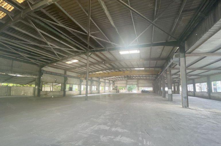 桥头新出独院7米钢构厂房，价格便宜，水电过户