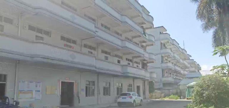 出租原房东独院空地2000红本双证适合仓库注塑五金变压器过户