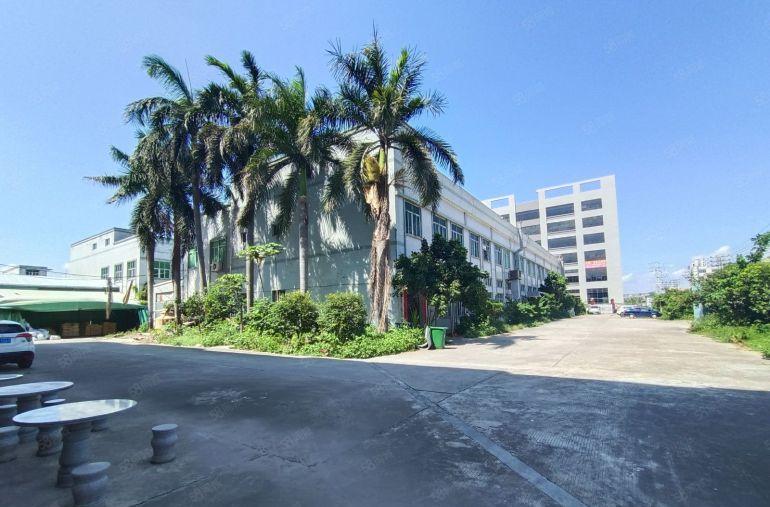 出租原房东独院空地2000红本双证适合仓库注塑五金变压器过户