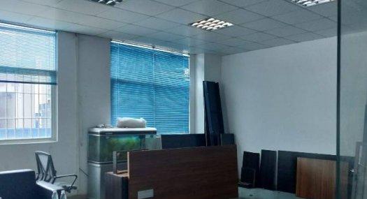 凤岗雁田一楼高6米厂房出租1080平带牛角 行车免费用