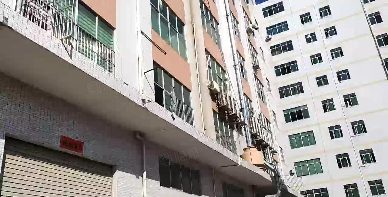 金凤凰一楼7米高 现成办公室 带消防喷淋 离东深线300米