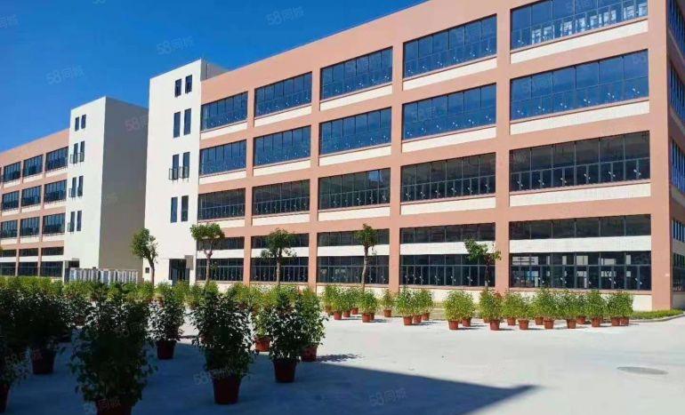 原业主0公摊直租！凤岗金凤凰独栋10000平红本厂房仓库出租