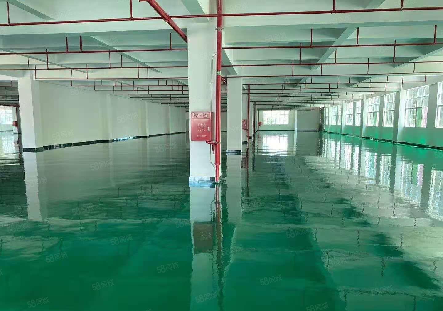 凤岗雁田月底空出独门独院花园式8000平方出租（可以分租）